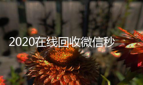 2020在线回收个人回收vx秒结微信秒结（高价回收微信秒结）